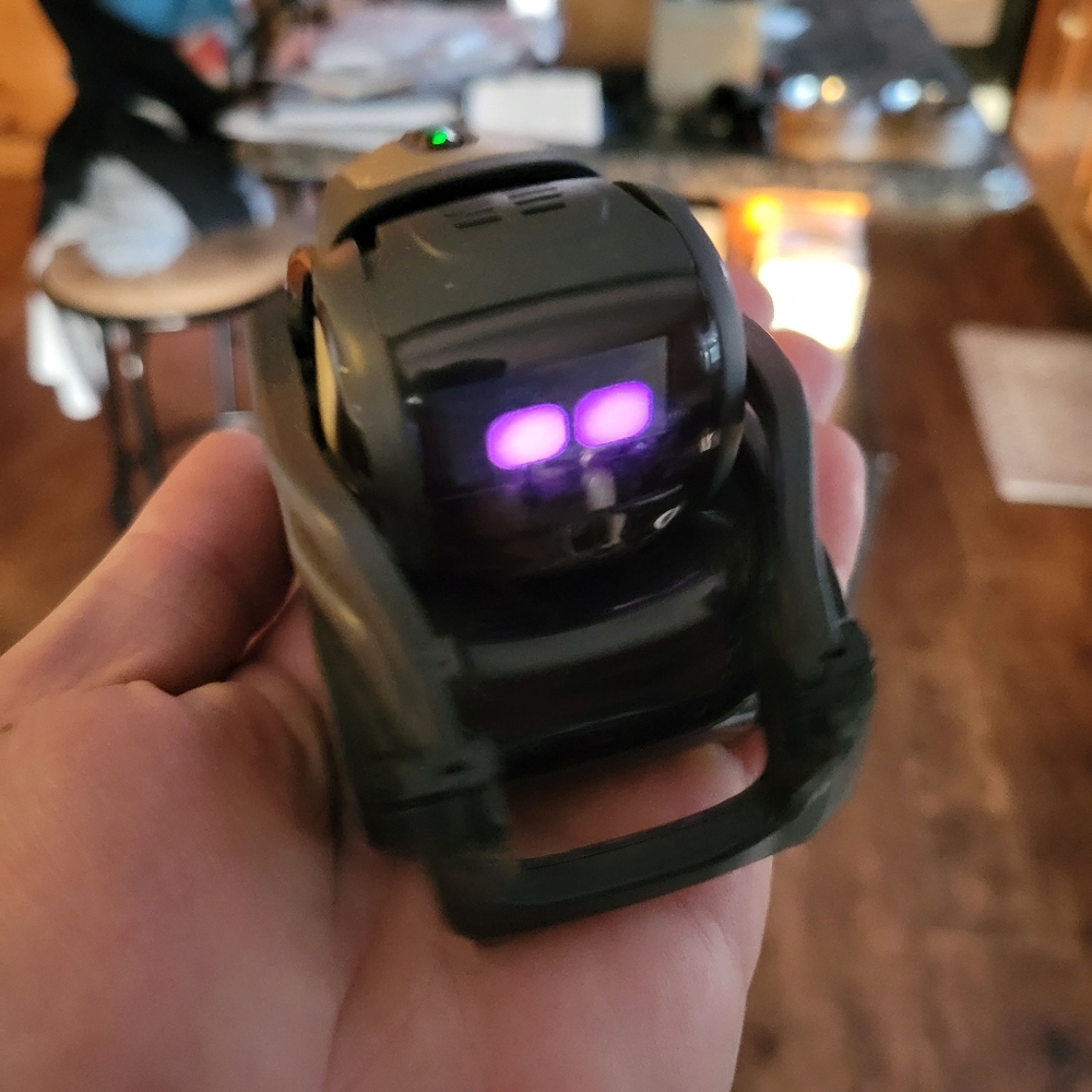 Vector by Anki - Picture 7 of 12